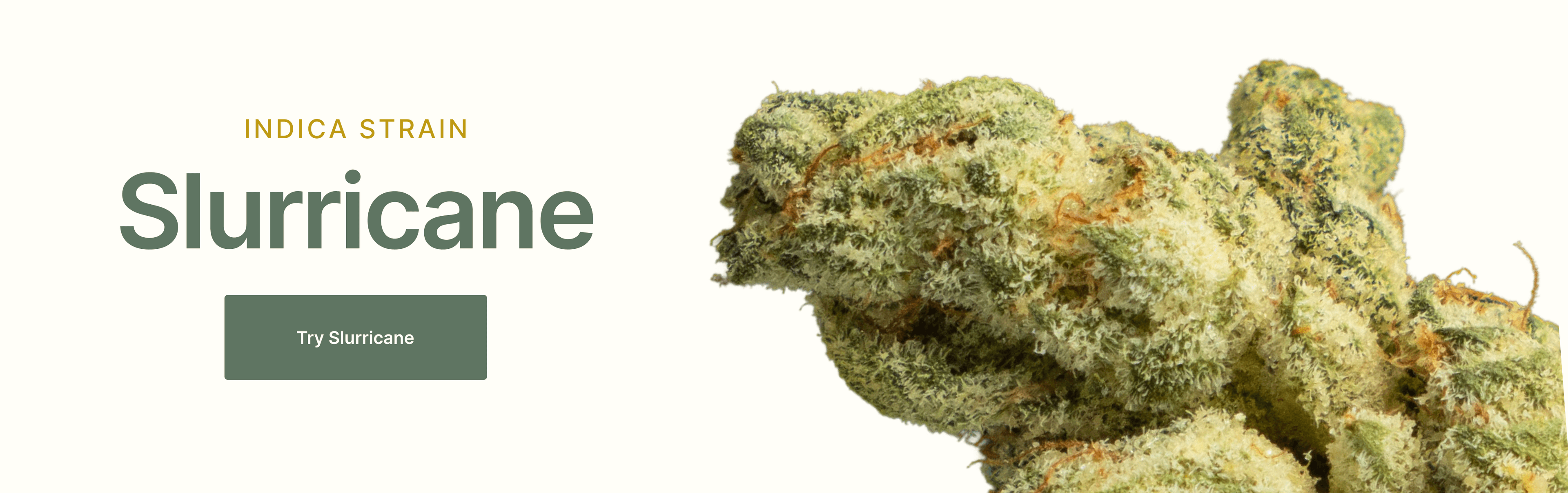 Slurricane