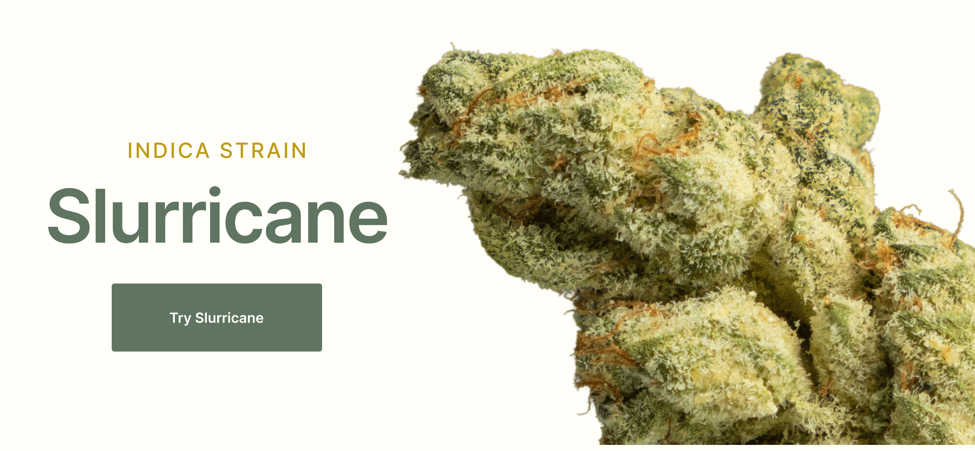 Slurricane