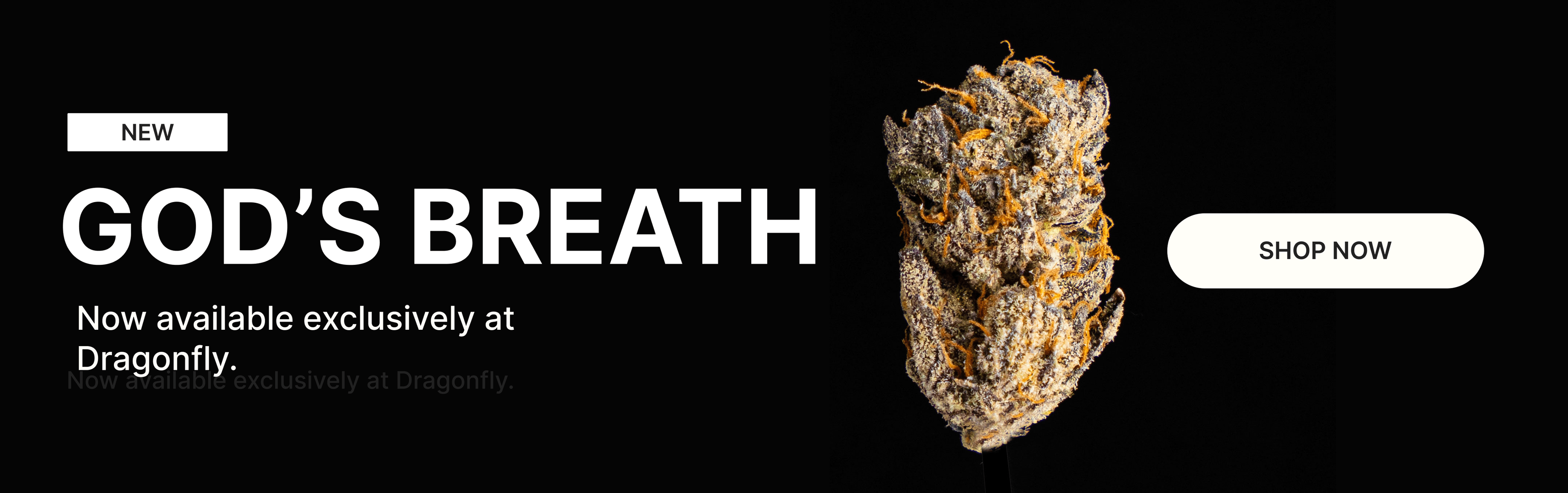 God's Breath