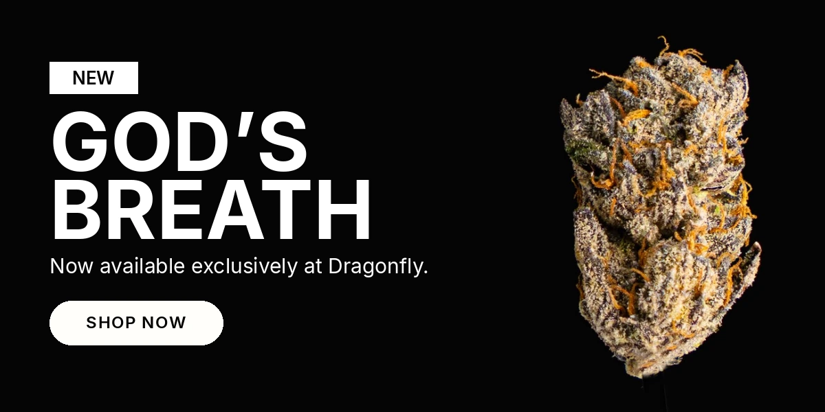 God's Breath