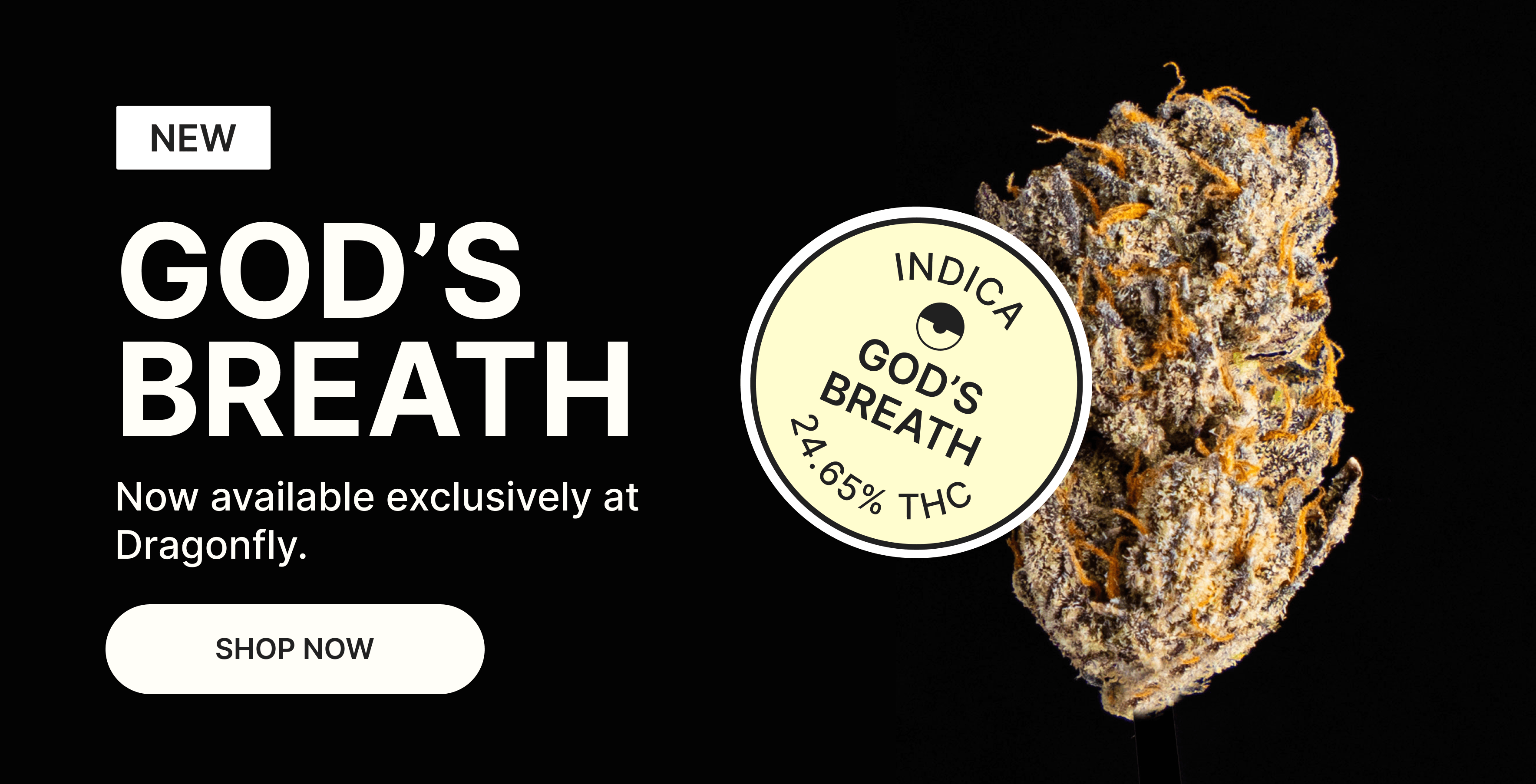 God's Breath