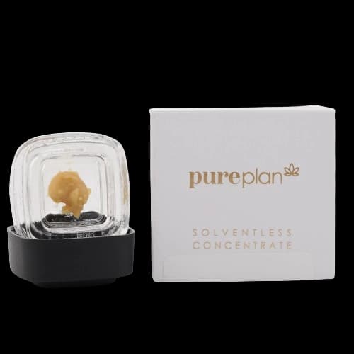 Pure Plan Concentrates Image