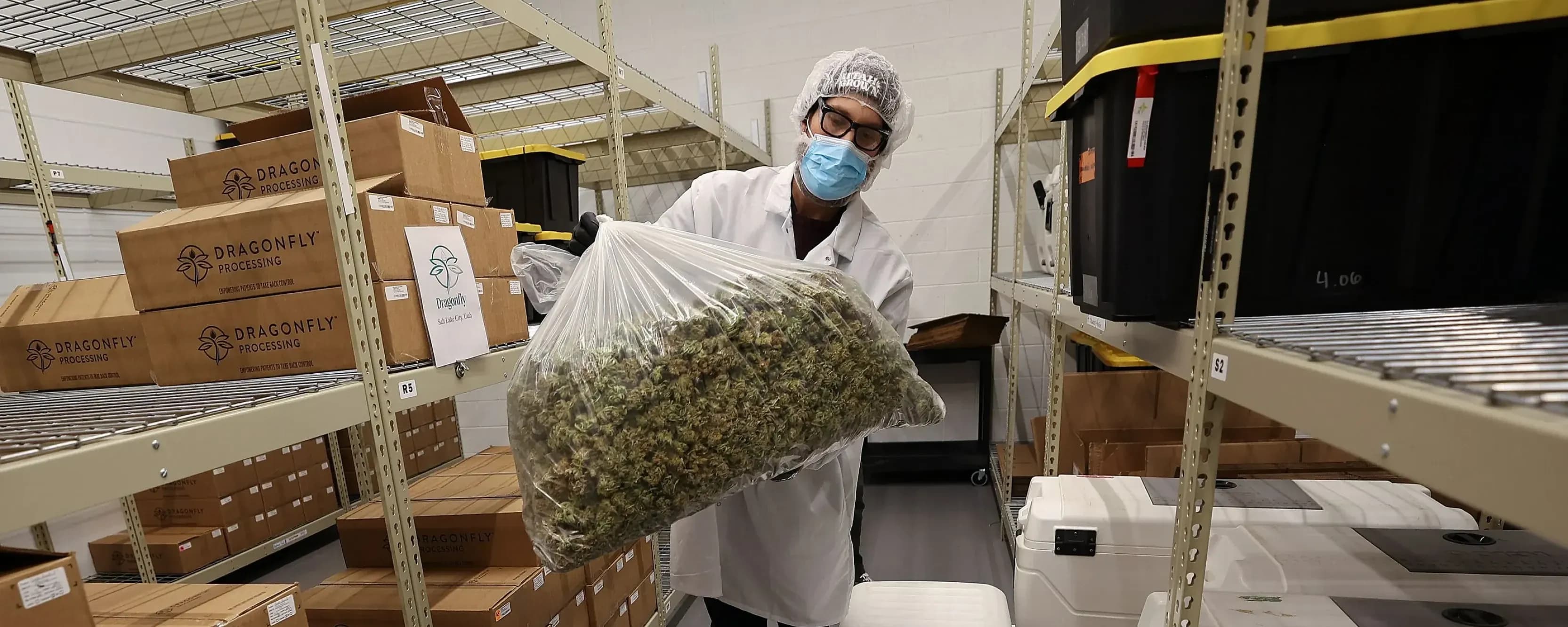 Inside Utah’s Medical Marijuana Program