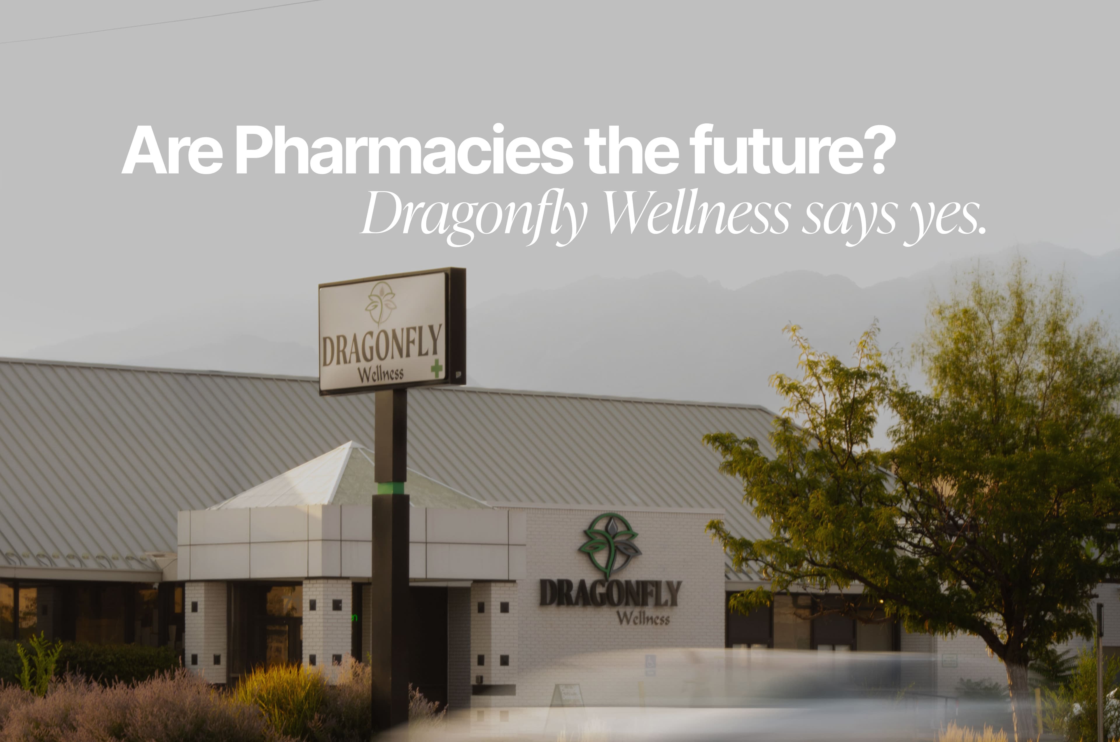 Are Pharmacies the Future? Dragonfly Wellness Says Yes.