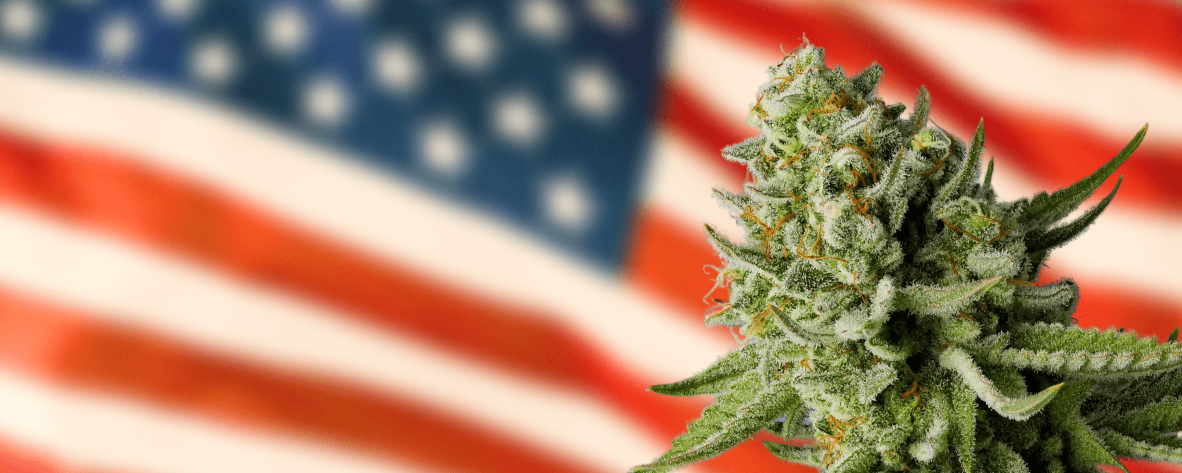Rescheduling Cannabis: What This Means For You.
