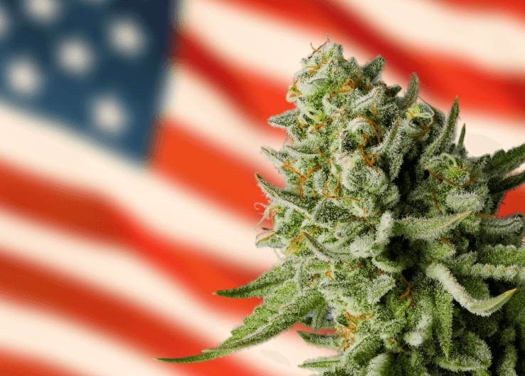 Rescheduling Cannabis: What This Means For You.