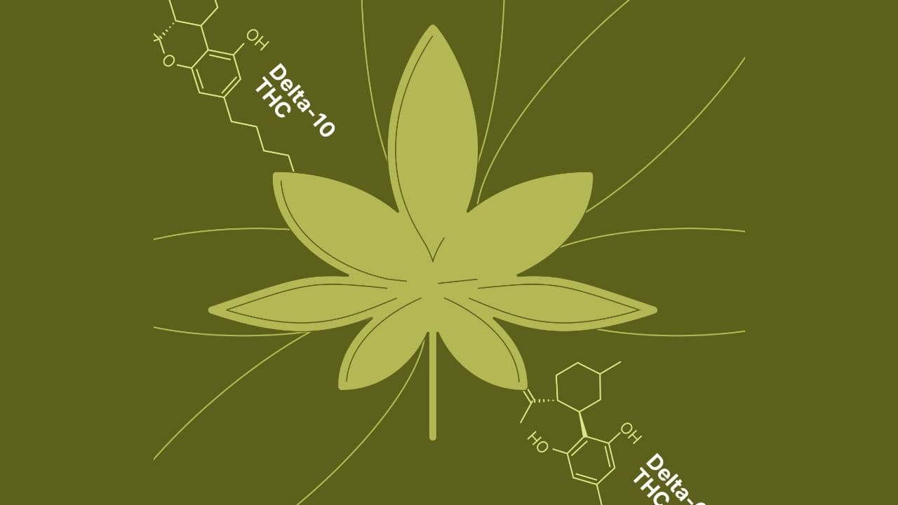 Keeping It Real: Synthetic Cannabinoids in Utah