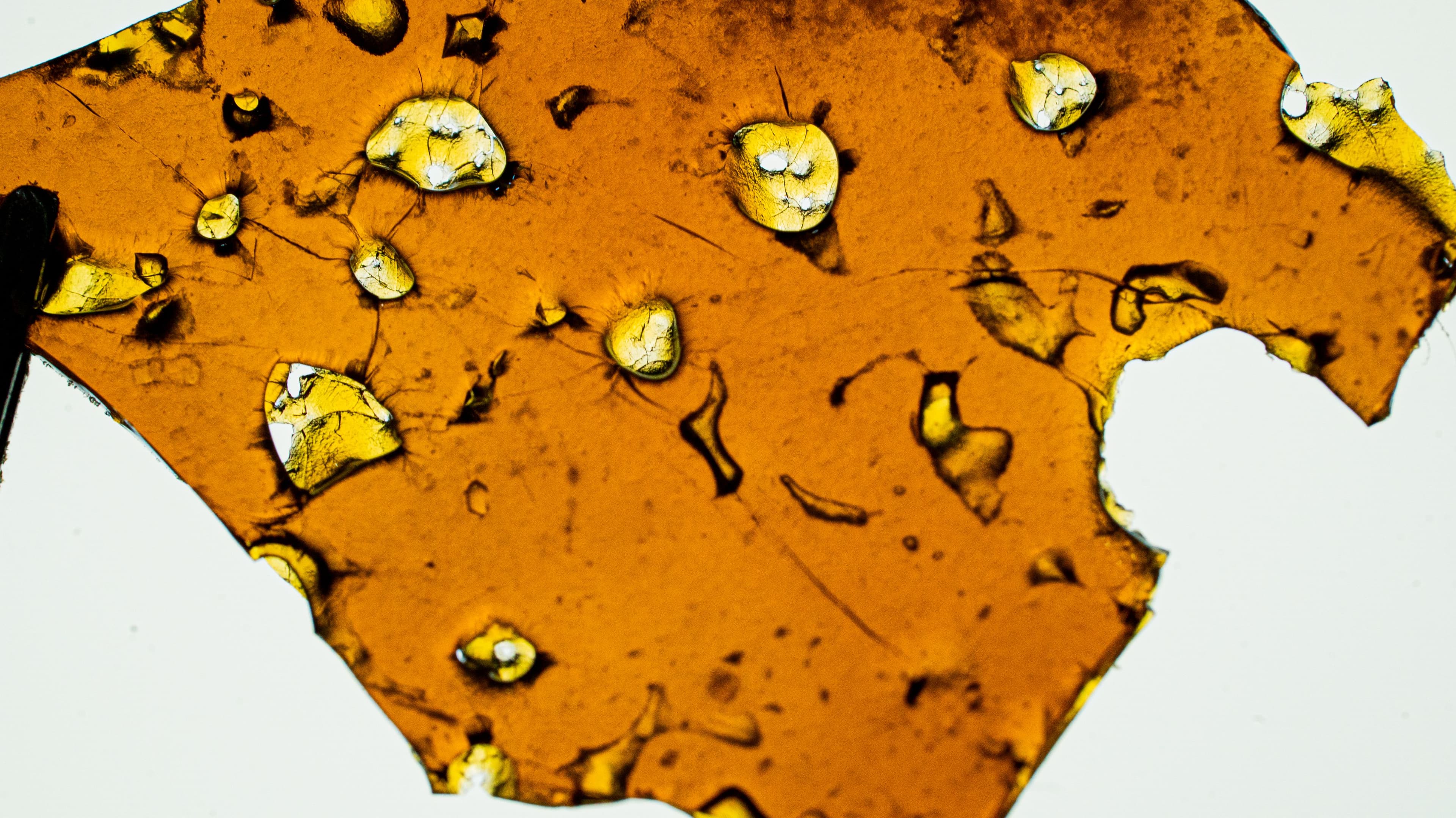Confidence in Concentrates