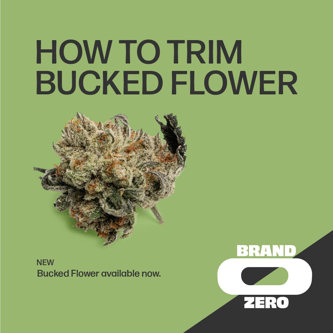 Introducing Brand Zero Bucked Flower