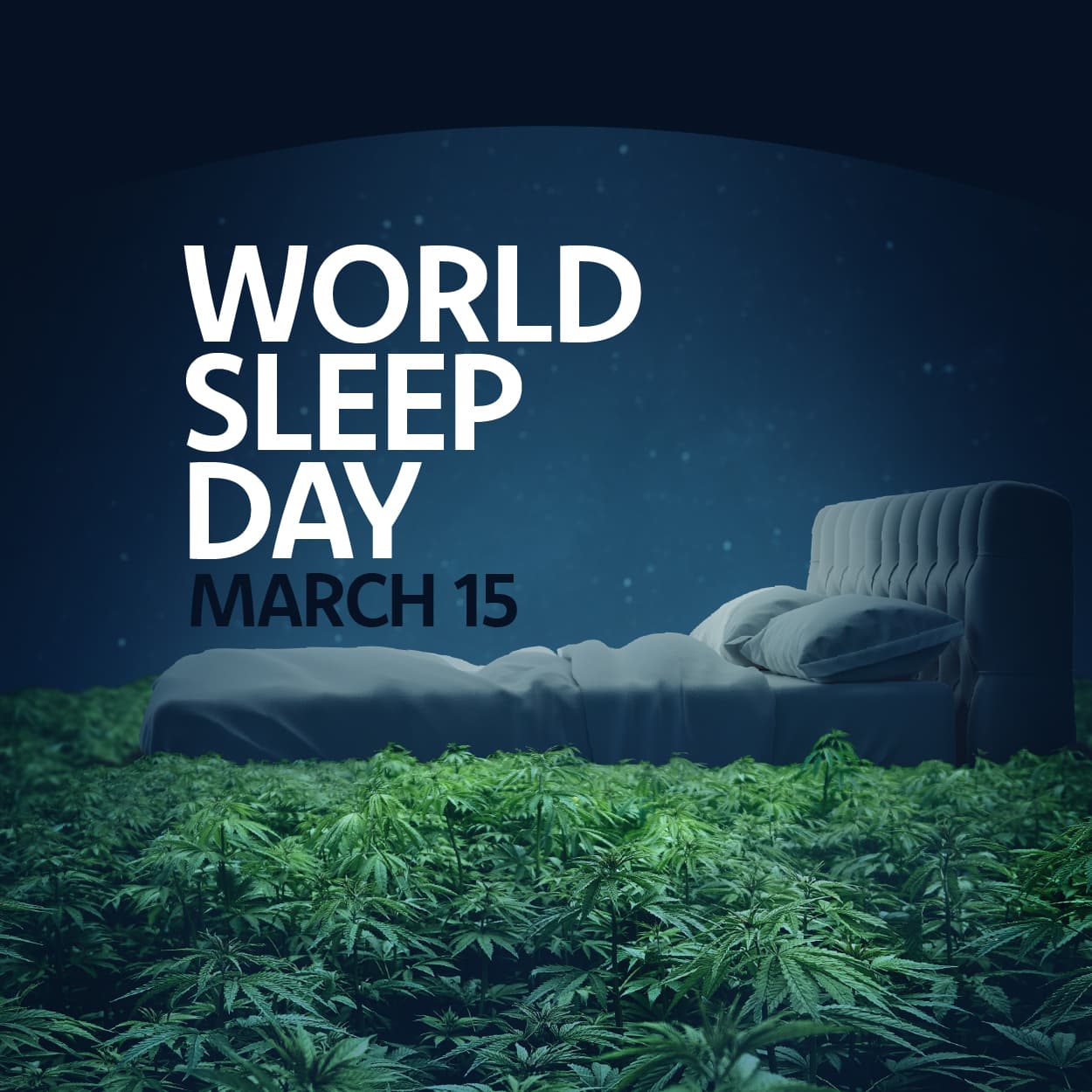 World Sleep Day is March 15th